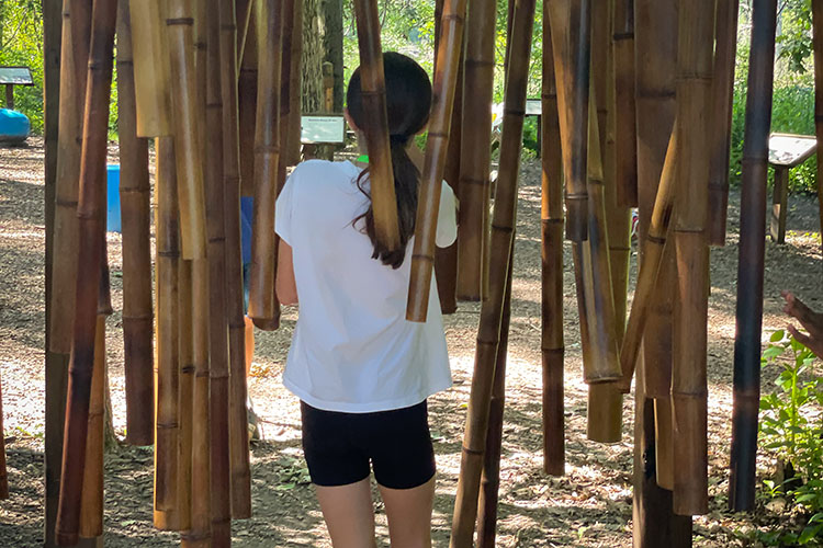 A student walks through hanging bamboo sticks