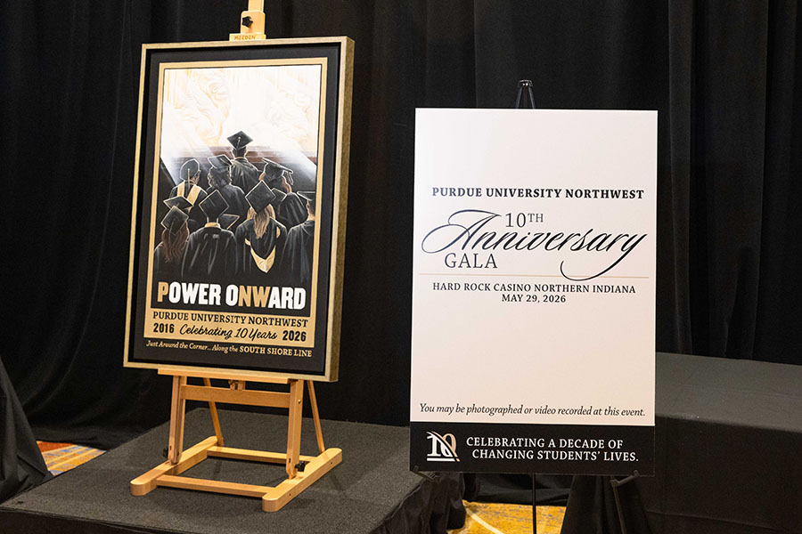 A poster which depicts a bright scene with graduates ascending toward two of the university’s distinct lion statues.