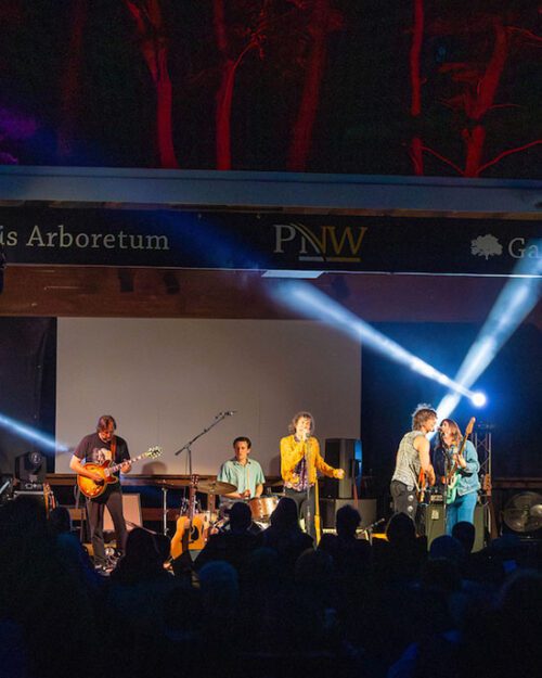 Performers on stage at an Acorn Concert Series show.