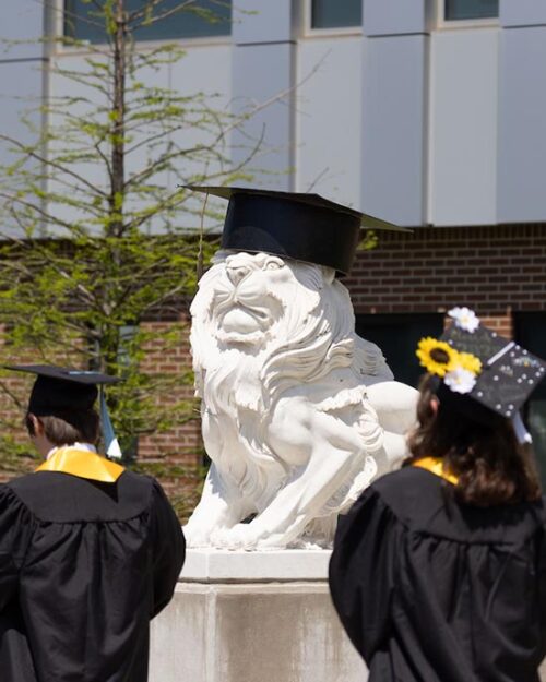 Purdue University Northwest graduates walk past a lion statue wearing a graduation cap.